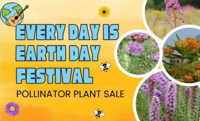FACEBOOK EMAIL_Pollinator Sale