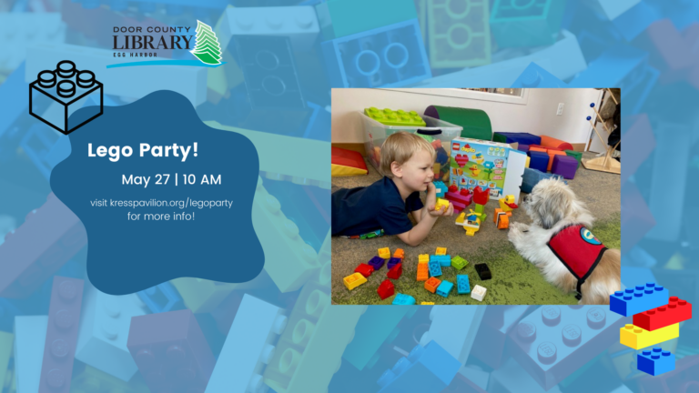 Lego Party
